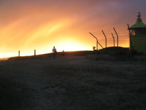 An especially memorable sunset earlier in the New Zealand trip.