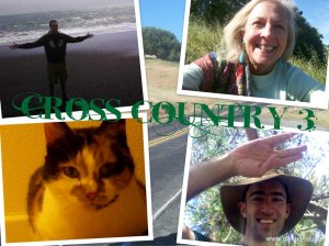 271368_551455172478_4441804_o